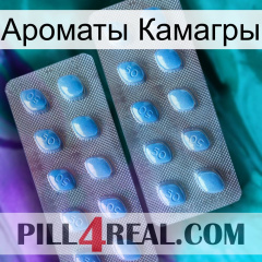 Ароматы Камагры viagra4